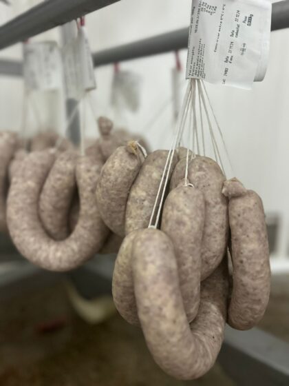 Butifarra Blanca