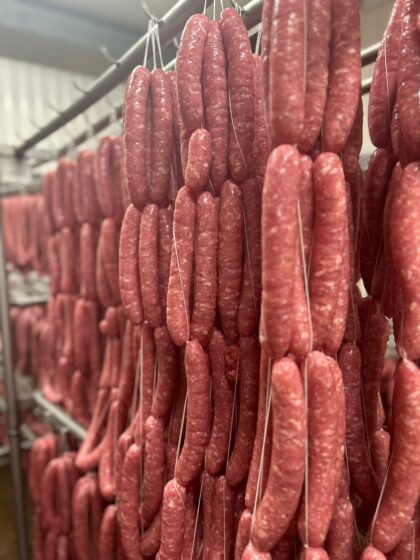 Butifarra Fresca Ibérica